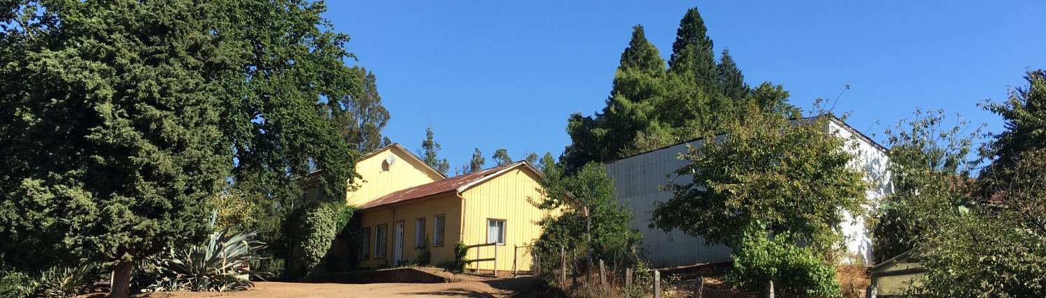 El Testamento de Traiguen